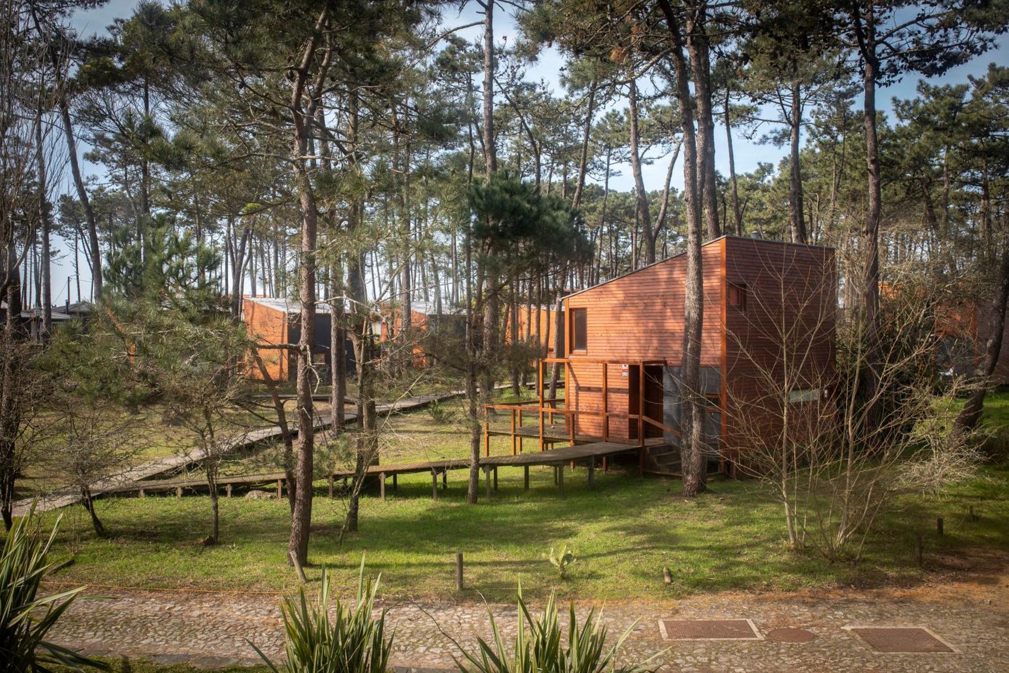 Bungalow B2 - Nature, Beach & River Ofir Exterior photo