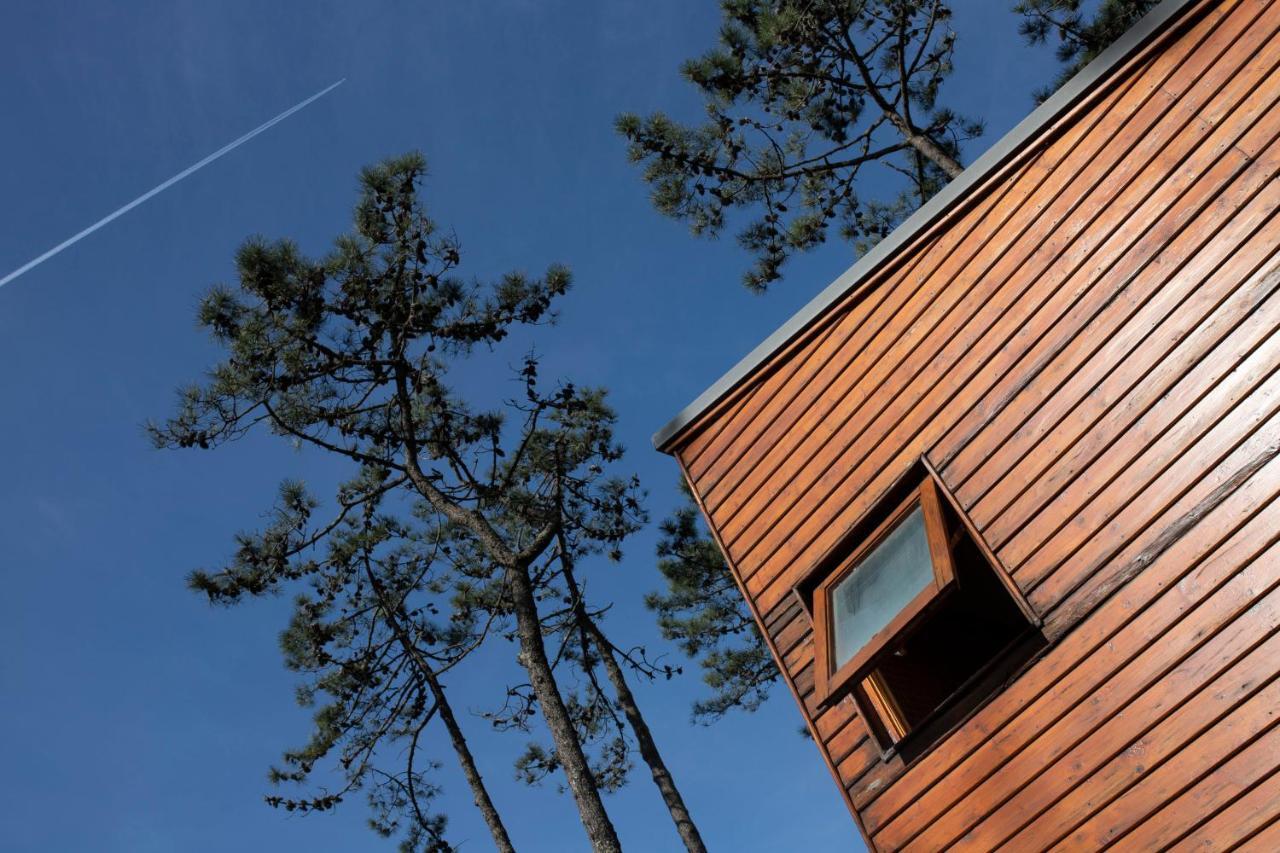 Bungalow B2 - Nature, Beach & River Ofir Exterior photo